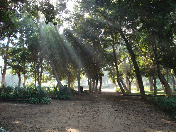 Галина Кривошеева