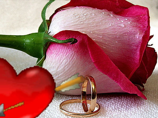 Айнур Айтжан