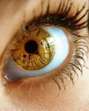 Людмила Судапина