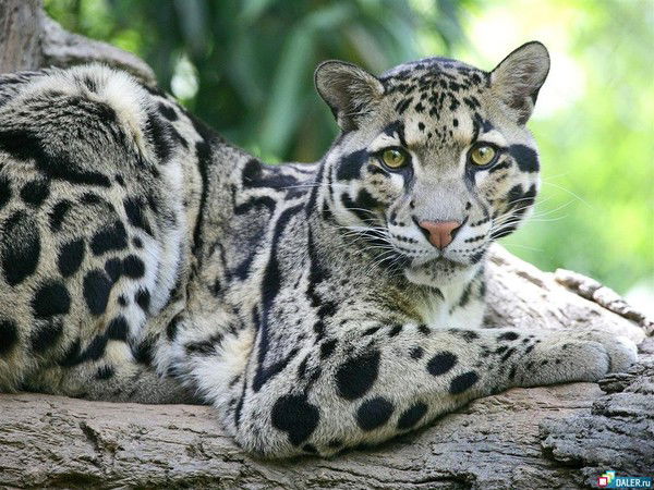 Наталья Байшева