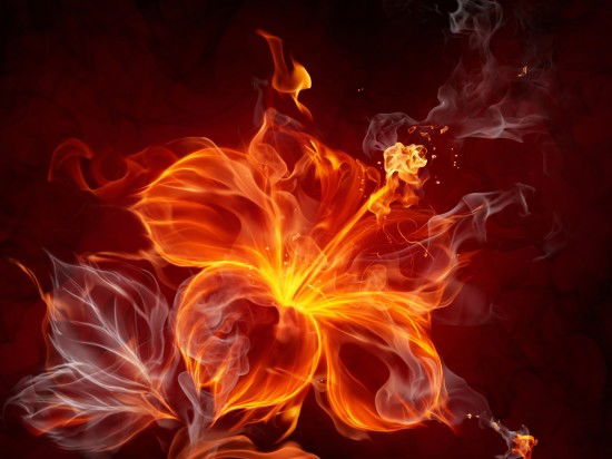 Кристина Лысикова