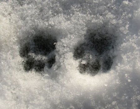 Галина Глущенко