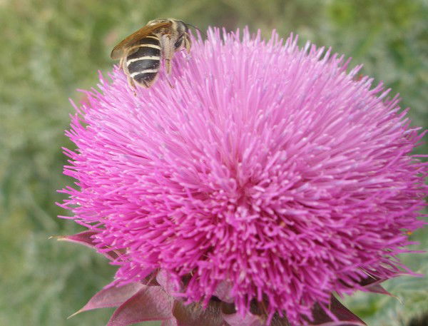 Виталий Прокопенко