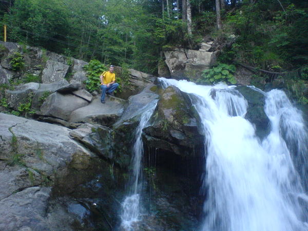 Альгис Паулаускас