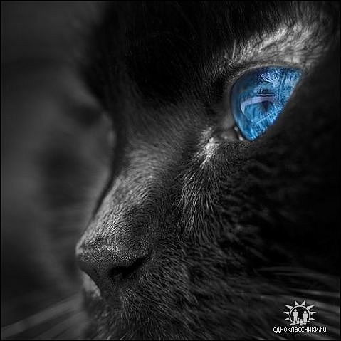 Нурия Миннуллина