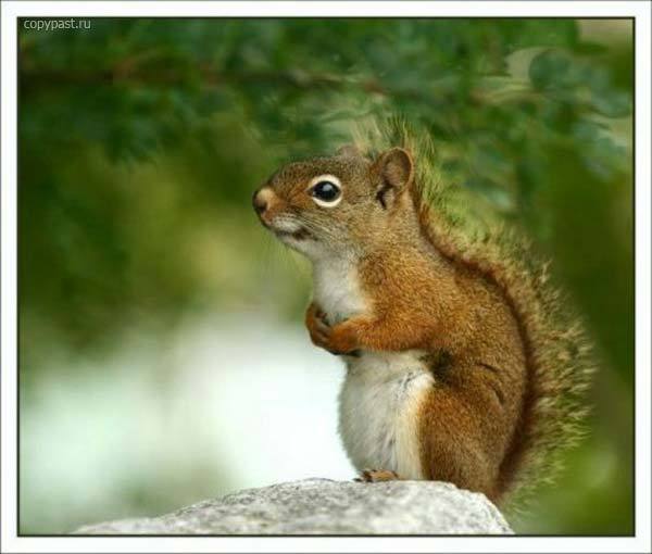 Савина Ольга