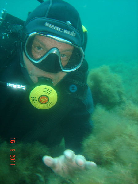 Сергей Ярославцев