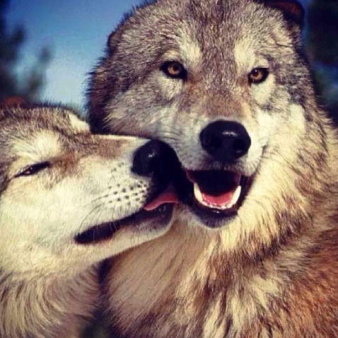 Марина Марина