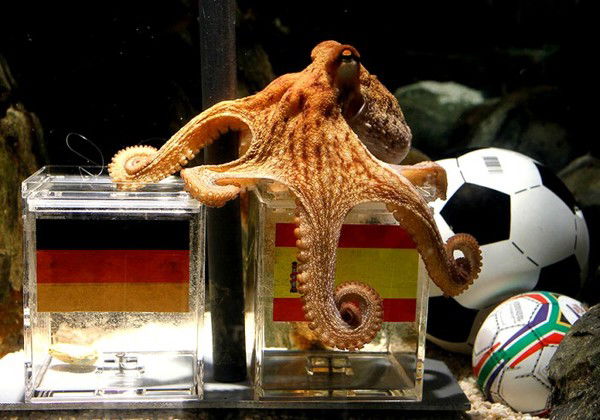 Алекс Пирогов