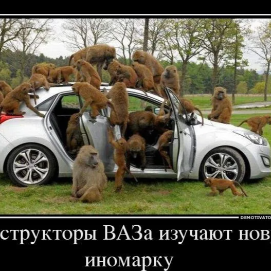 Павел Разумцов