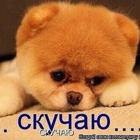 Беки Умаров