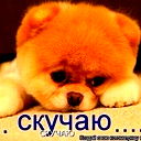 Беки Умаров