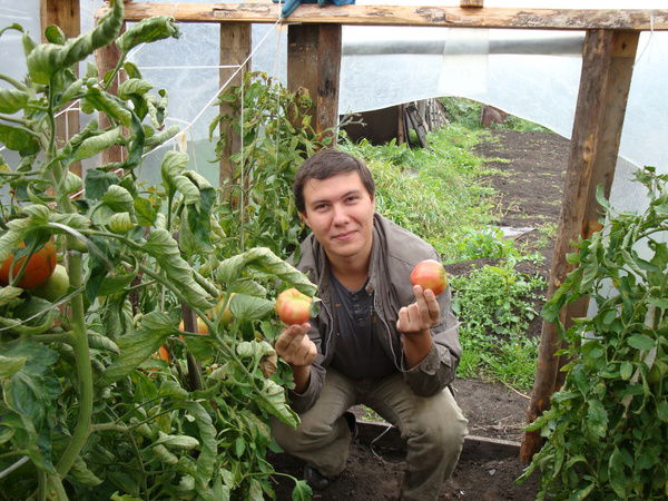 Денис Семенов