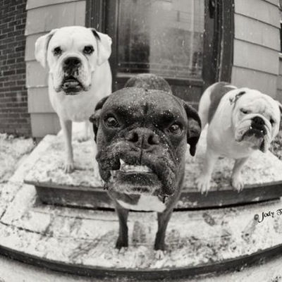 Игорь Макин