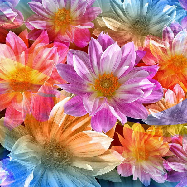 Александр Лаврентьев