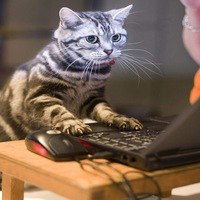 Алексей Масленников