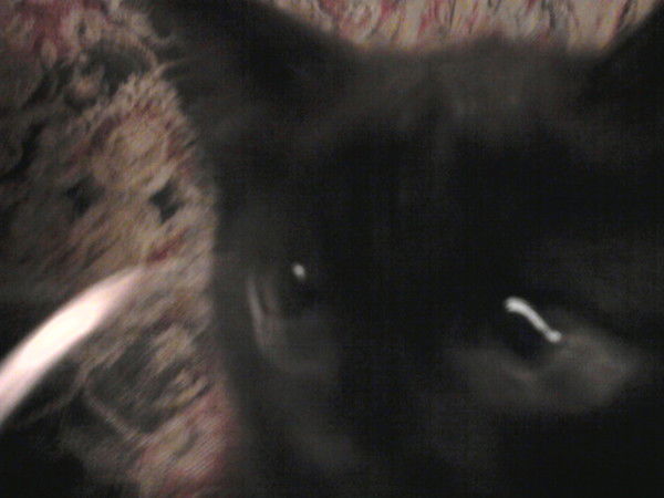 Мария Юрданова