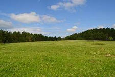 Анастасия Нефедова