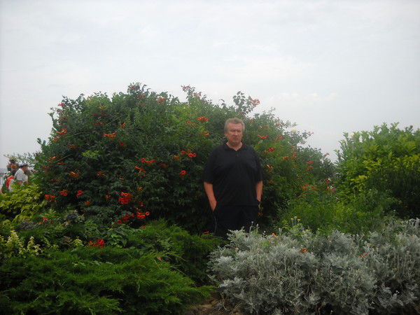 Александр Сидоров