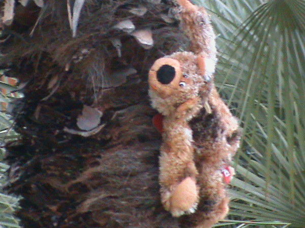 Александр Авилкин