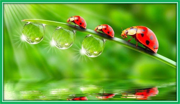 Маргарита Залогина