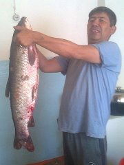 Сергей Лисицин