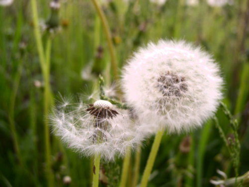 Алексей Бочков