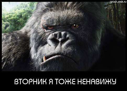 Андрей Фоменко