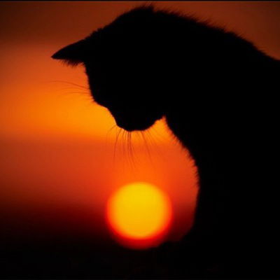 Саша Аримов