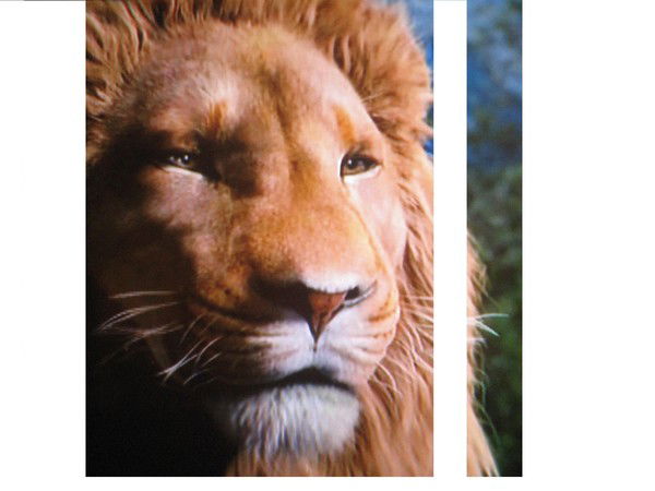 Виктор Белкин