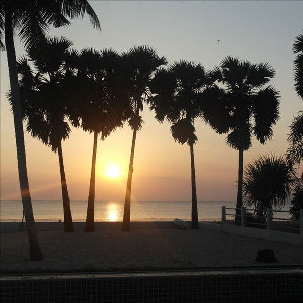 Алекс Алекс