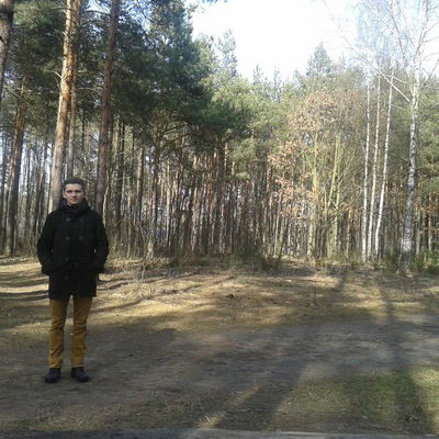 Николай Солодовник