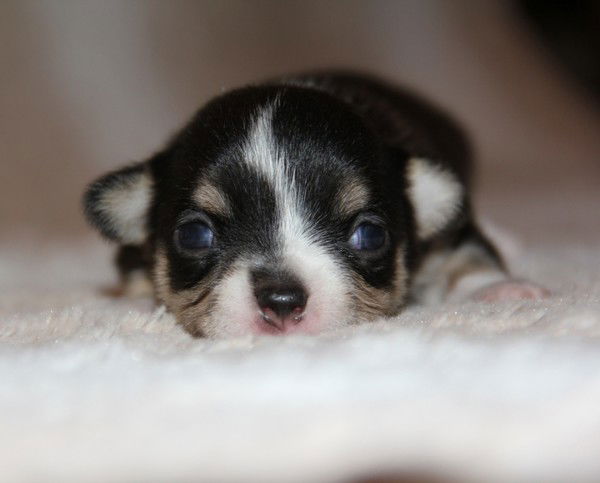 Скачкова Надежда