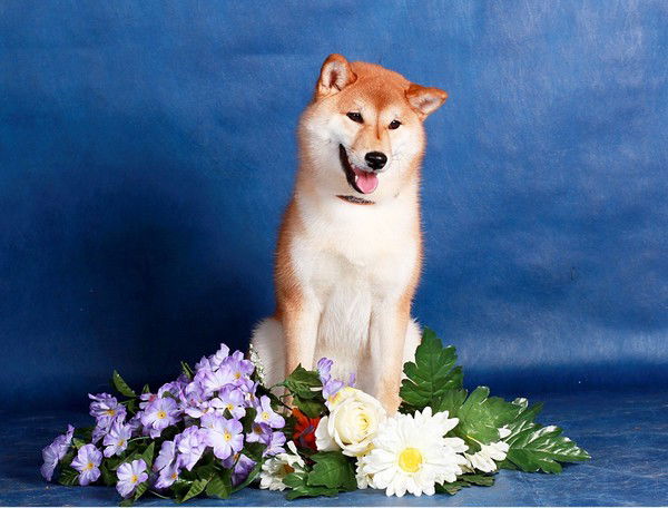 Зоя Богданова