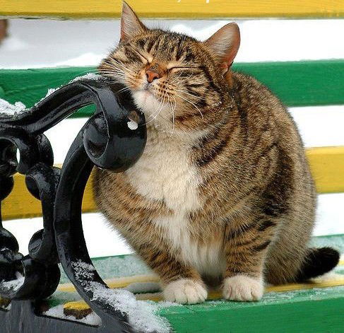 Анатолий Иванов