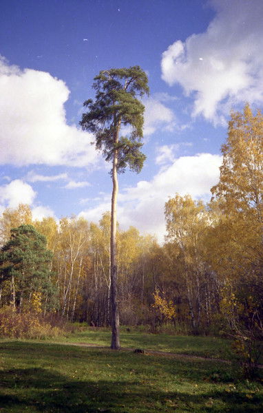 Ирина Каледина