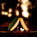 Максим Александрович