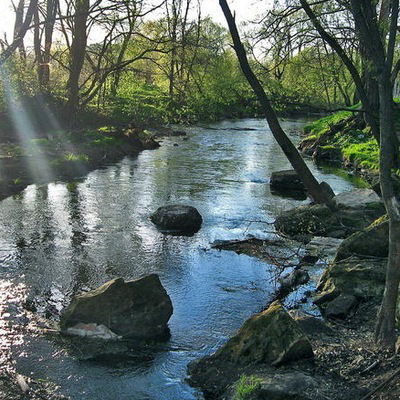 Алсу Мусина