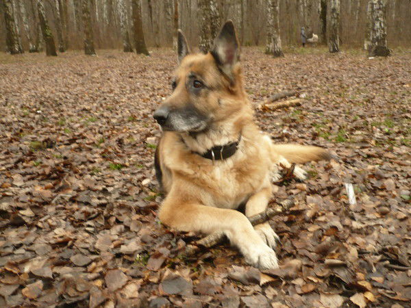 Ольга Витухина