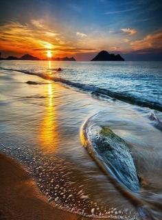 Женя Степаненко