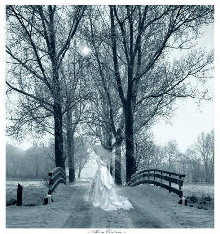 Света Ромашкина