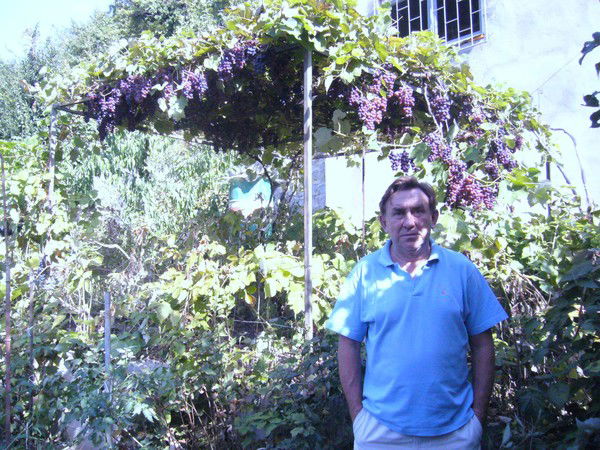 Борис Пчелин