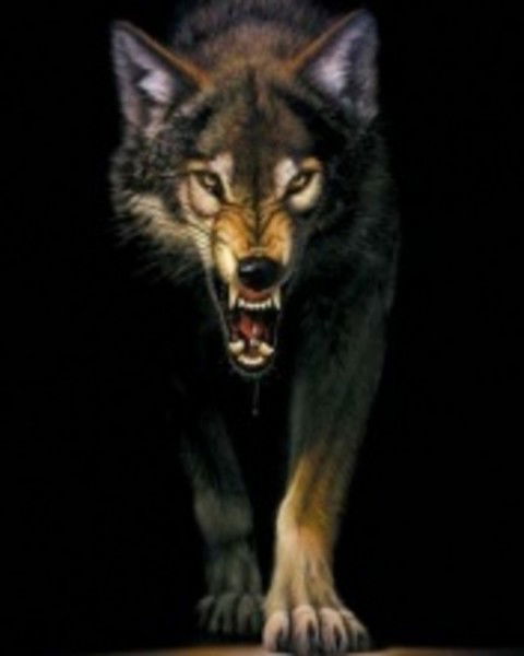 Алексей Кондаков