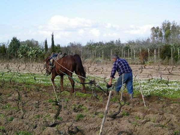 Пахарь !!!!!!!!