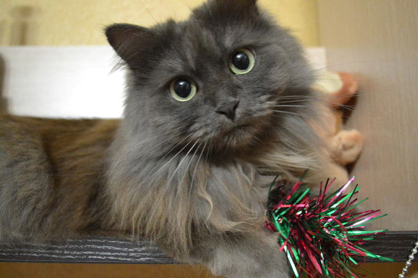 Мария Морозова