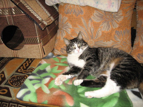 Яковенко Евгений