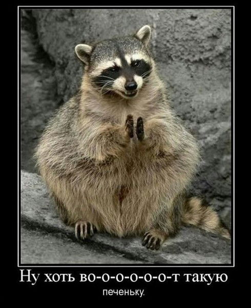 Рустам Садрутдинов