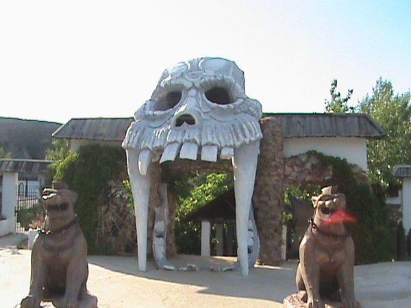 Владимир Кузнецов