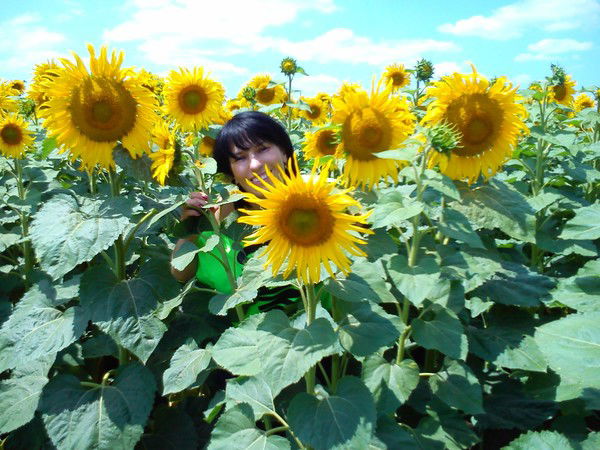 Елена Полозова