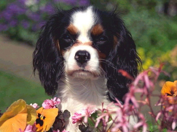 Виктор Ермаков